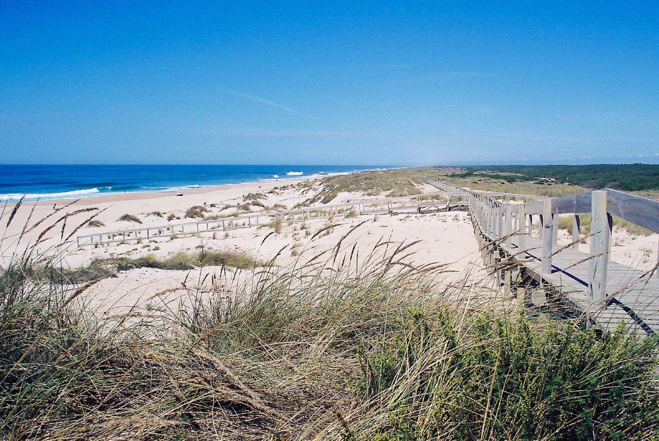 Praia da Tocha — areal e palheiros (foto: Vitor Oliveira, CC BY 2.0)